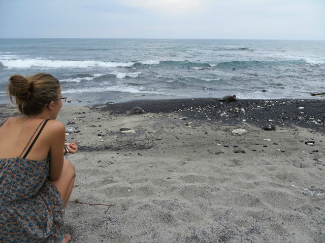 ramona-fellermeier-watching-sea-turtles